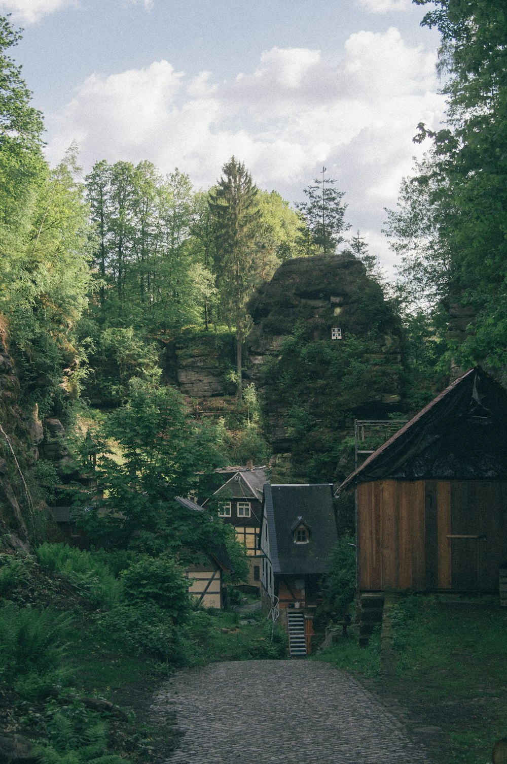 brown wooden house in the middle of forest