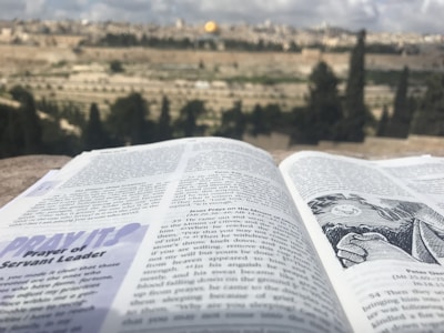 Illustration from one of Bernard Sorbier’s books depicting the Ventoux landscape.