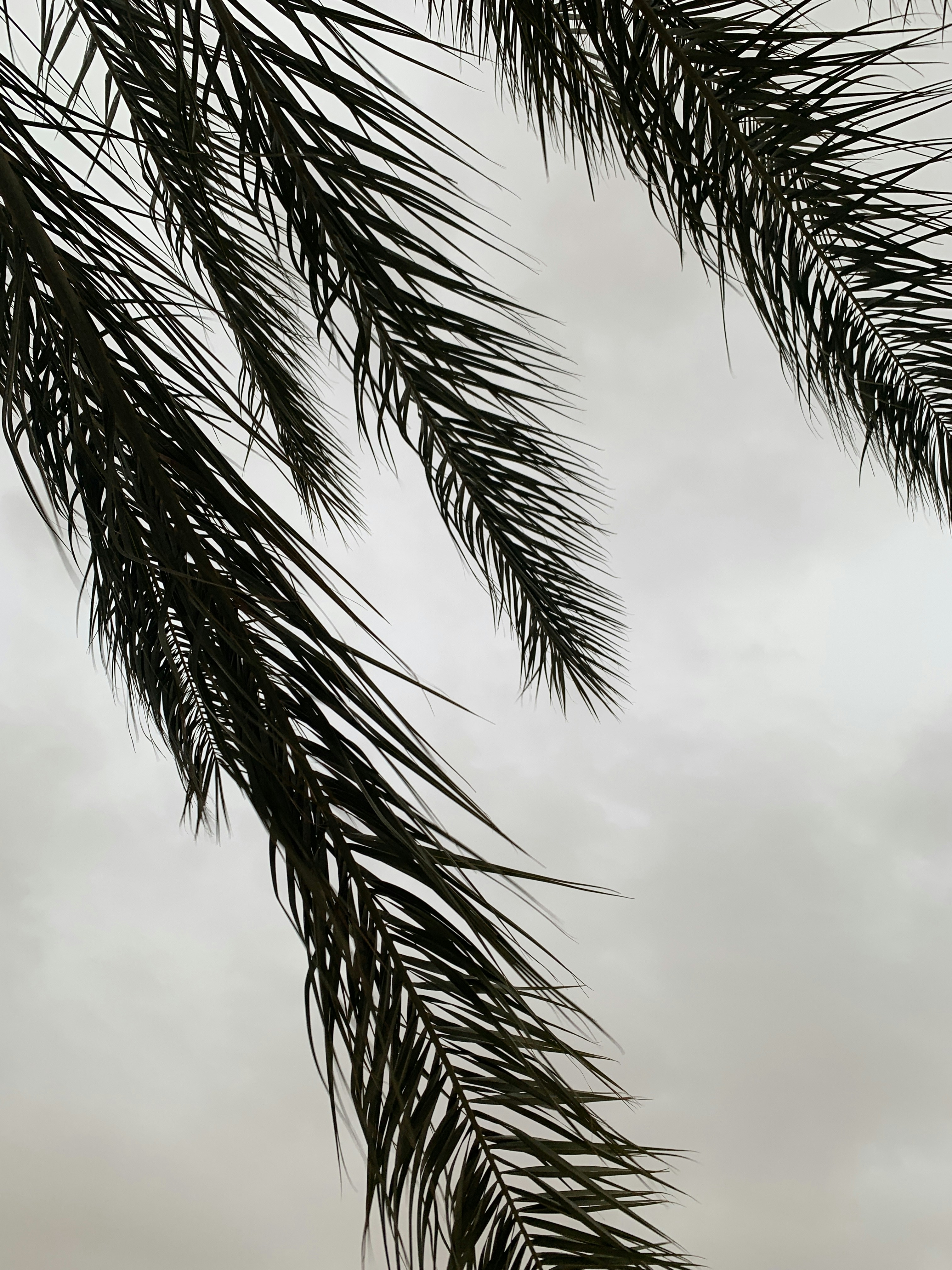 Photo by med_lassaad