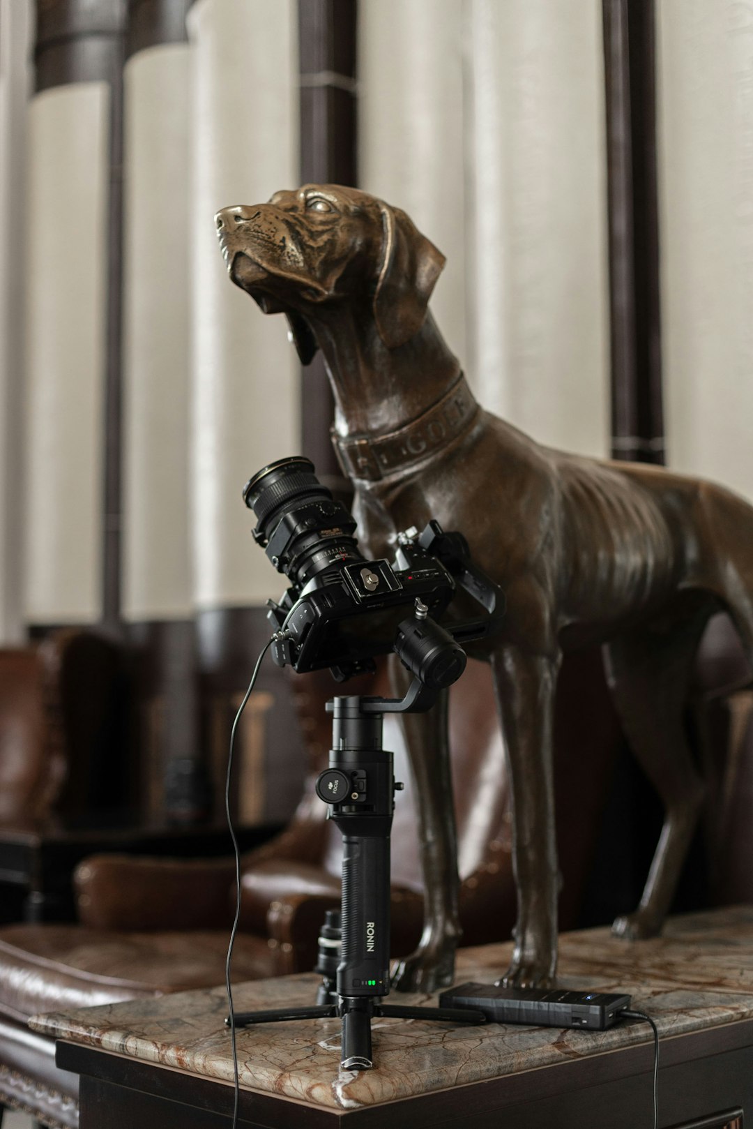 brown horse statue near black and gray dslr camera