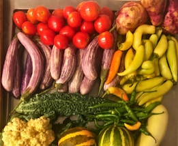 A collection of various fresh vegetables arranged together, including red tomatoes, purple-striped eggplants, yellow-green peppers, and sweet potatoes. There are also other vegetables such as bitter melon, cauliflower, and green chili peppers, as well as striped melons.