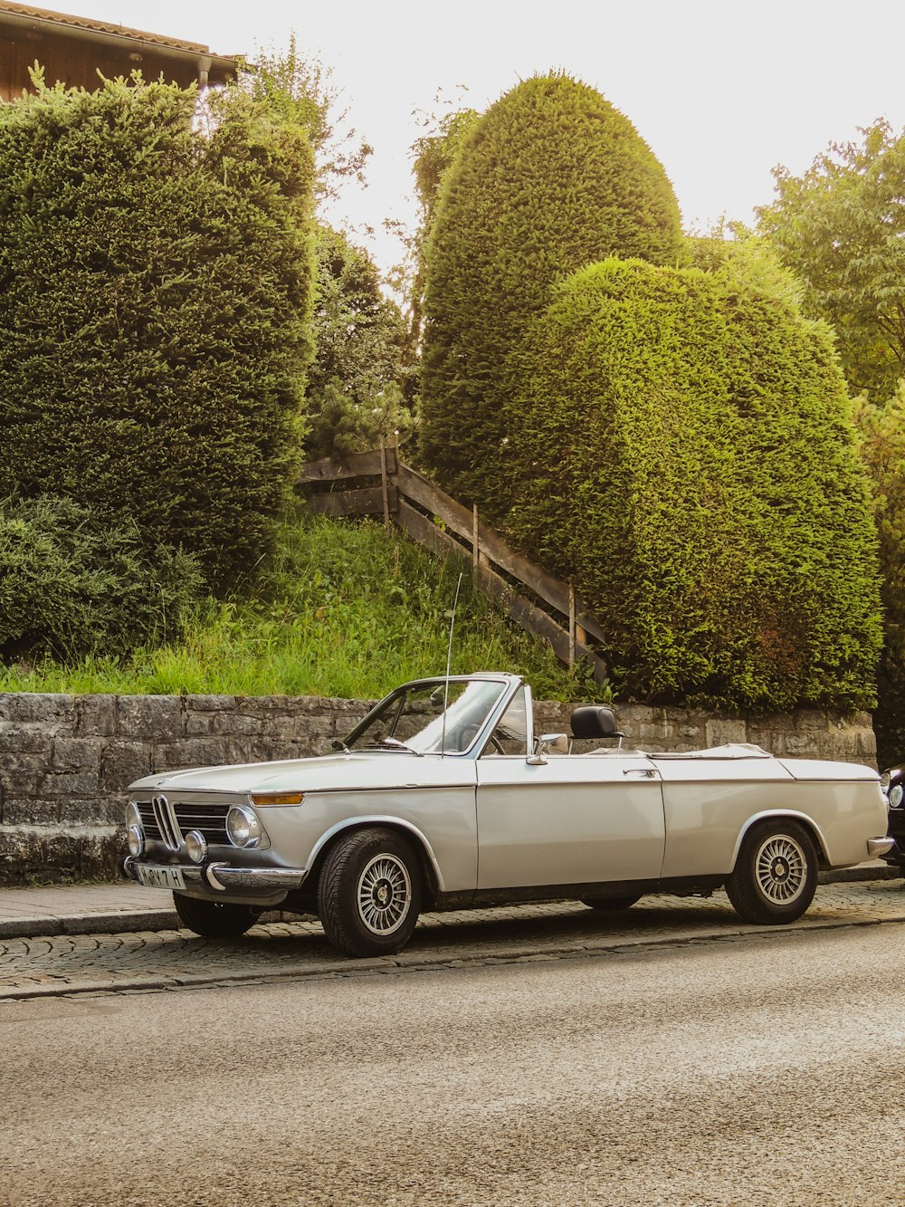 white convertible coupe parked beside green tree during daytime