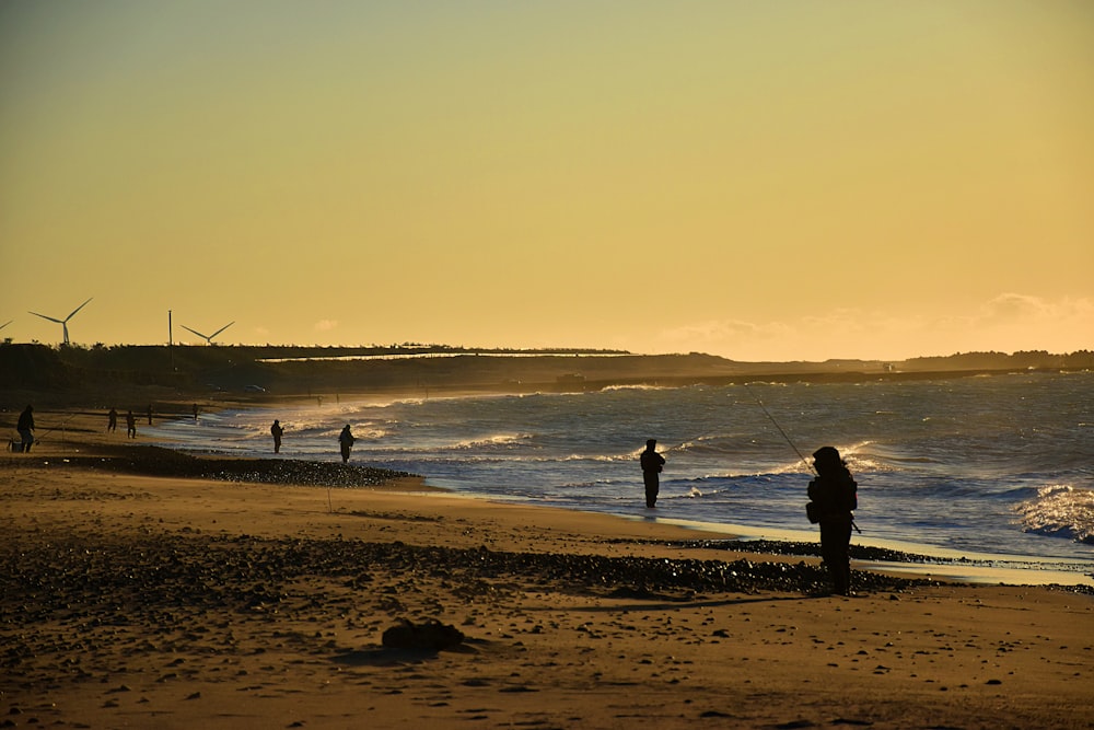 silhouette of 2 person standing on seashore during sunset