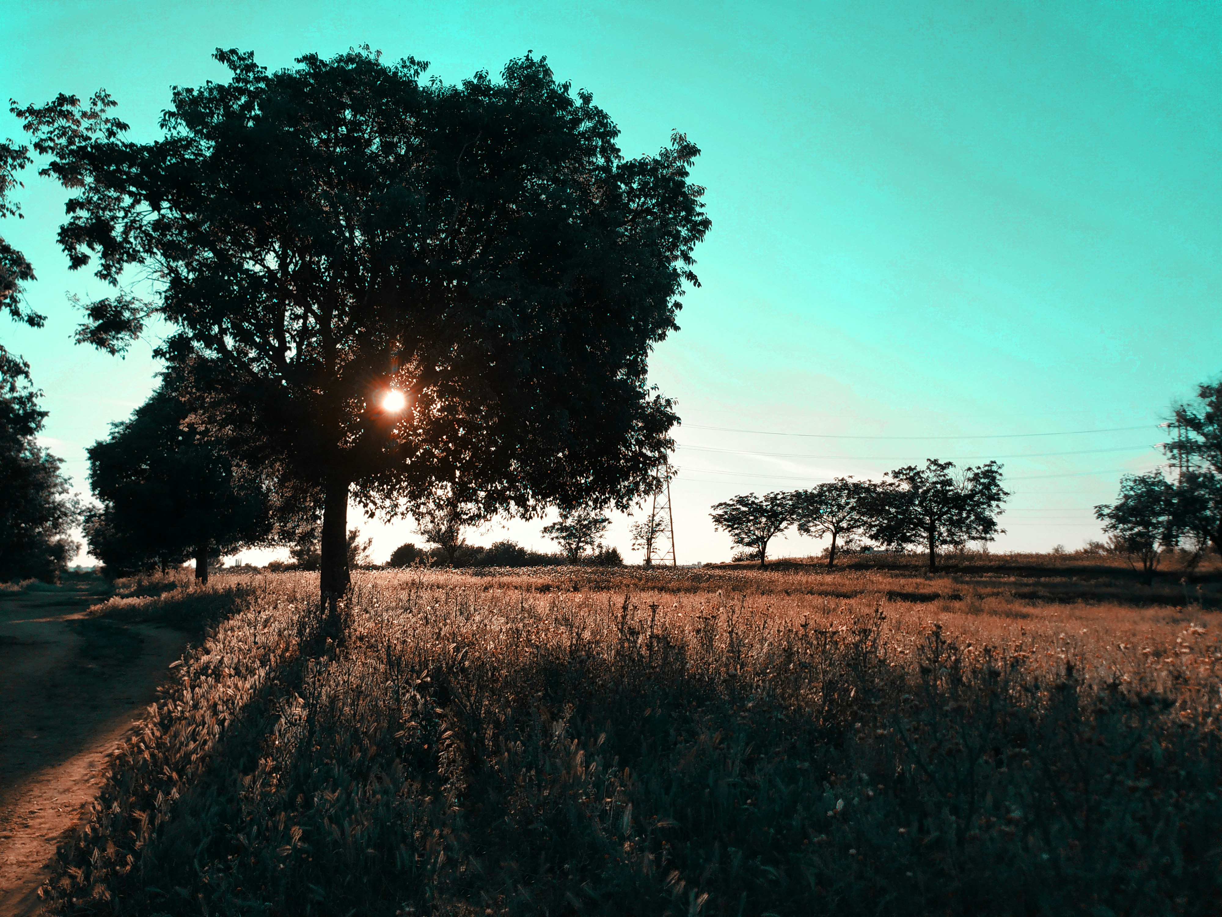 Photo by manuelflash