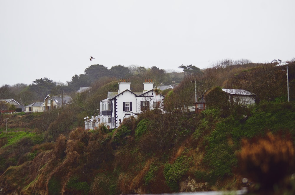 white and brown concrete house on brown and green mountain