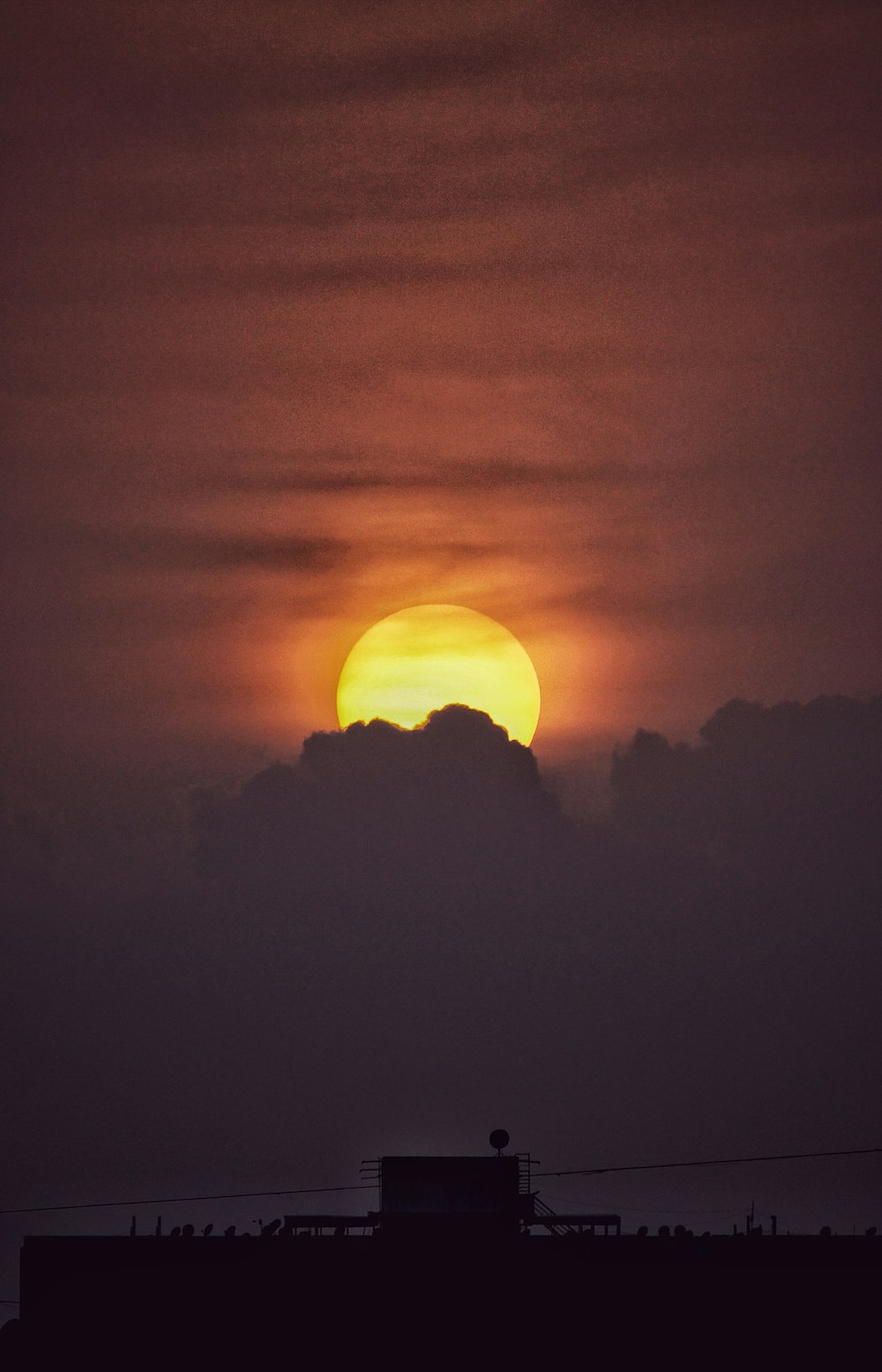 silhouette of trees during sunset