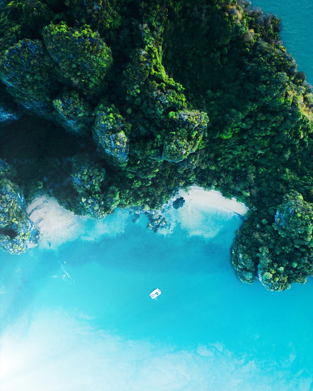 Vista aérea de árboles verdes junto al mar azul durante el día