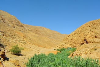 A desert valley landscape with arid hills on both sides composed of rocky terrain. Sparse vegetation is visible in the foreground, with patches of green grass and a small bush. The sky is clear and blue, contrasting with the earth tones of the land.