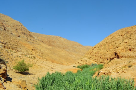 A desert valley landscape with arid hills on both sides composed of rocky terrain. Sparse vegetation is visible in the foreground, with patches of green grass and a small bush. The sky is clear and blue, contrasting with the earth tones of the land.