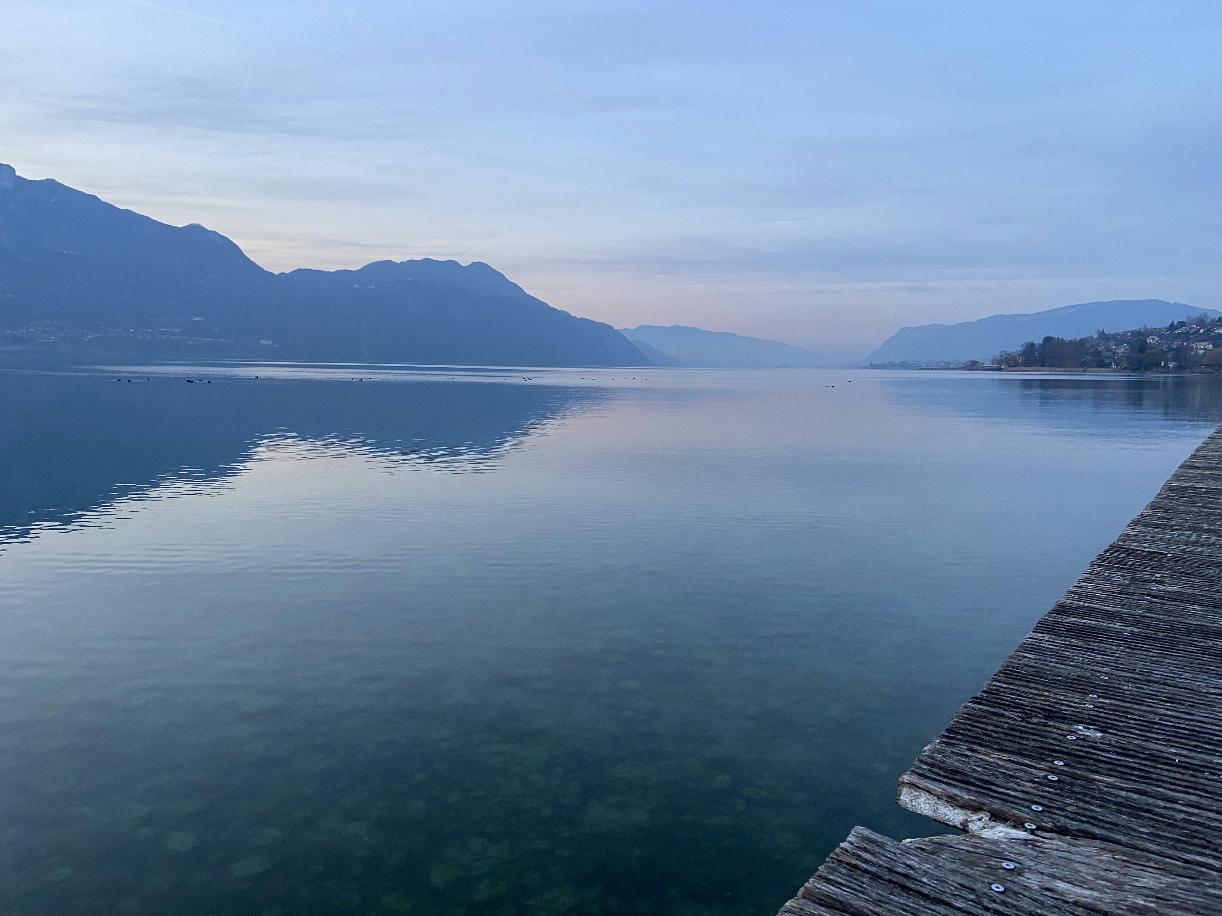 Photo by sanchezweezer