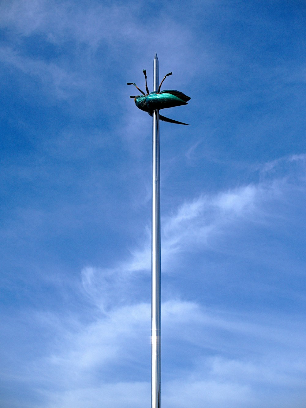 pássaro verde no polo de metal cinzento sob o céu azul durante o dia