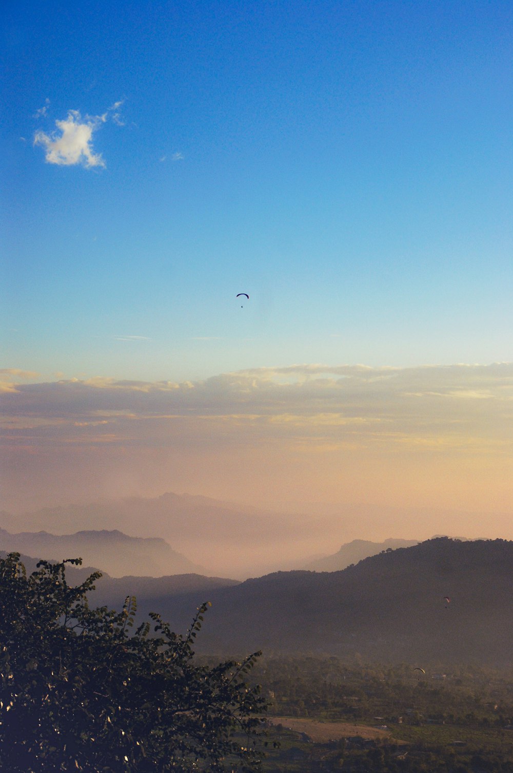 Vogel, der tagsüber über die Berge fliegt