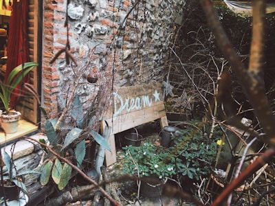 A rustic garden setting with a wooden sign that reads 'Dream' adorned with a star. The area features a variety of green plants and is bordered by a brick wall. A window to a cozy interior is partially visible, along with a potted plant on the window sill.