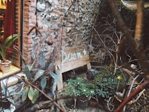 A rustic garden setting with a wooden sign that reads 'Dream' adorned with a star. The area features a variety of green plants and is bordered by a brick wall. A window to a cozy interior is partially visible, along with a potted plant on the window sill.