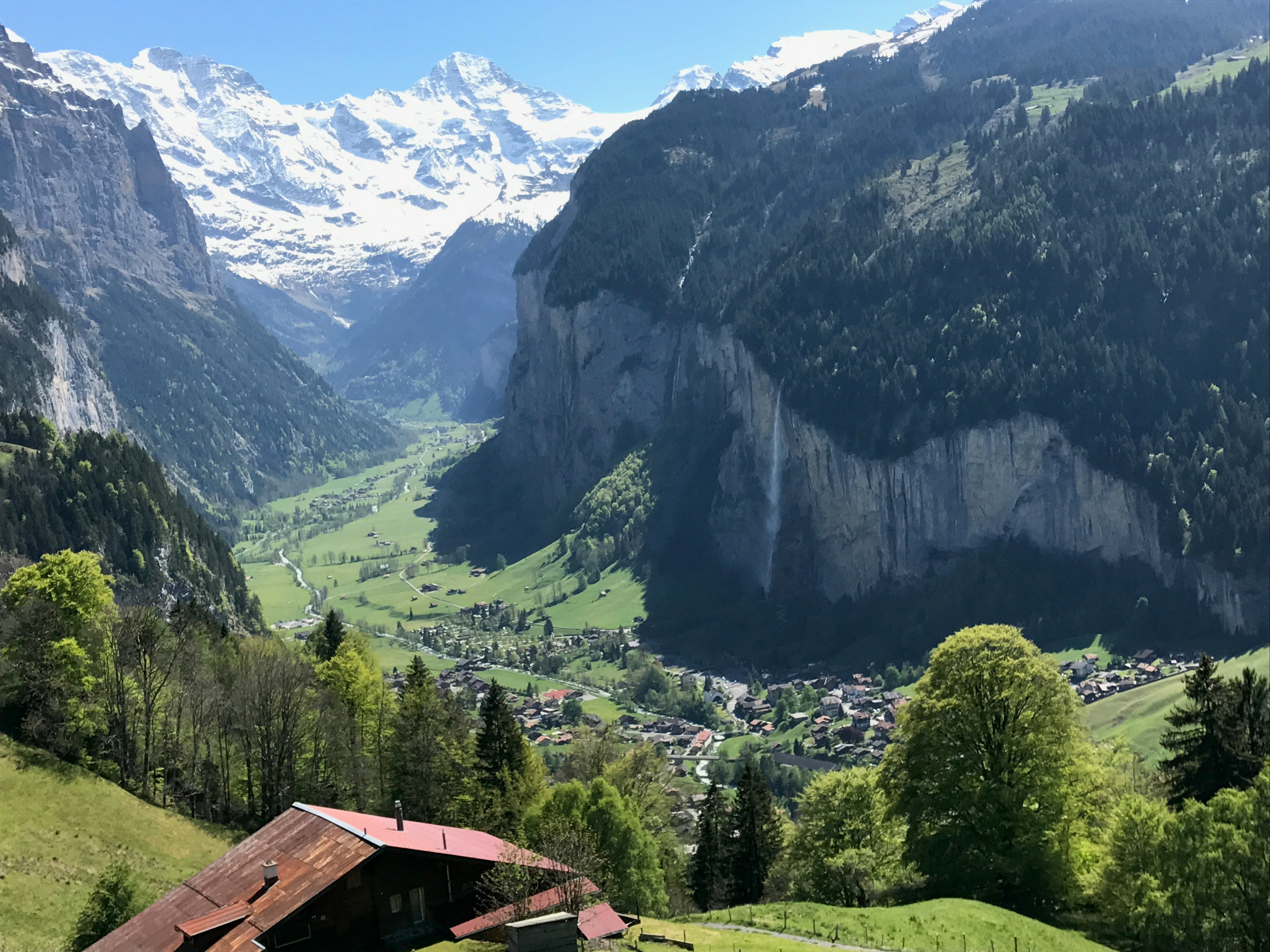 Photo by jsteelebear