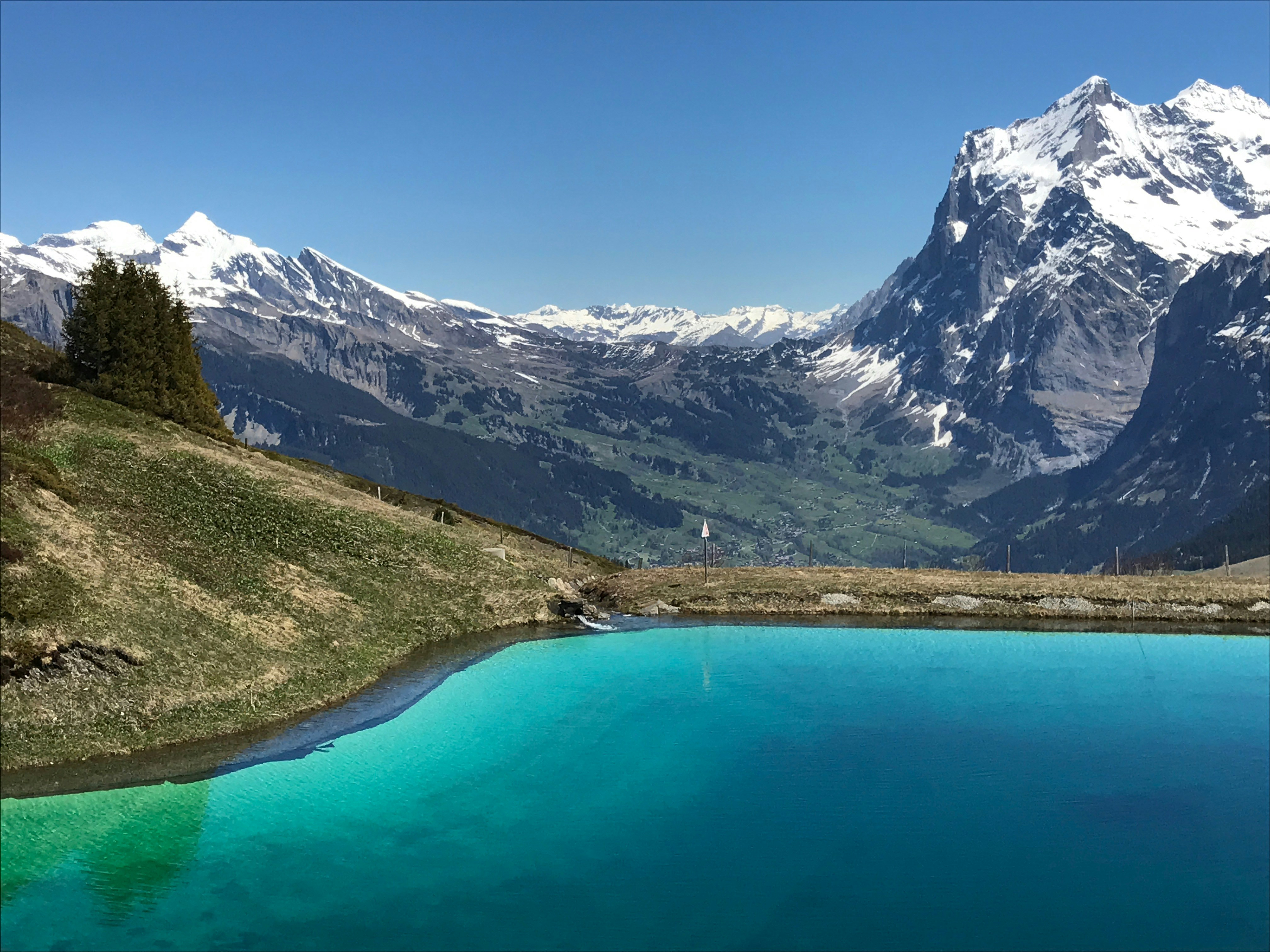 Photo by jsteelebear