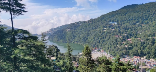 green trees on mountain near body of water during daytime in Nainital India