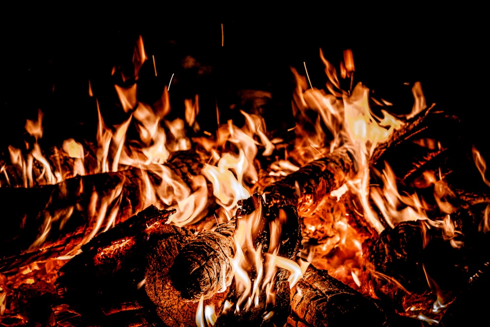 fire in black background with black background