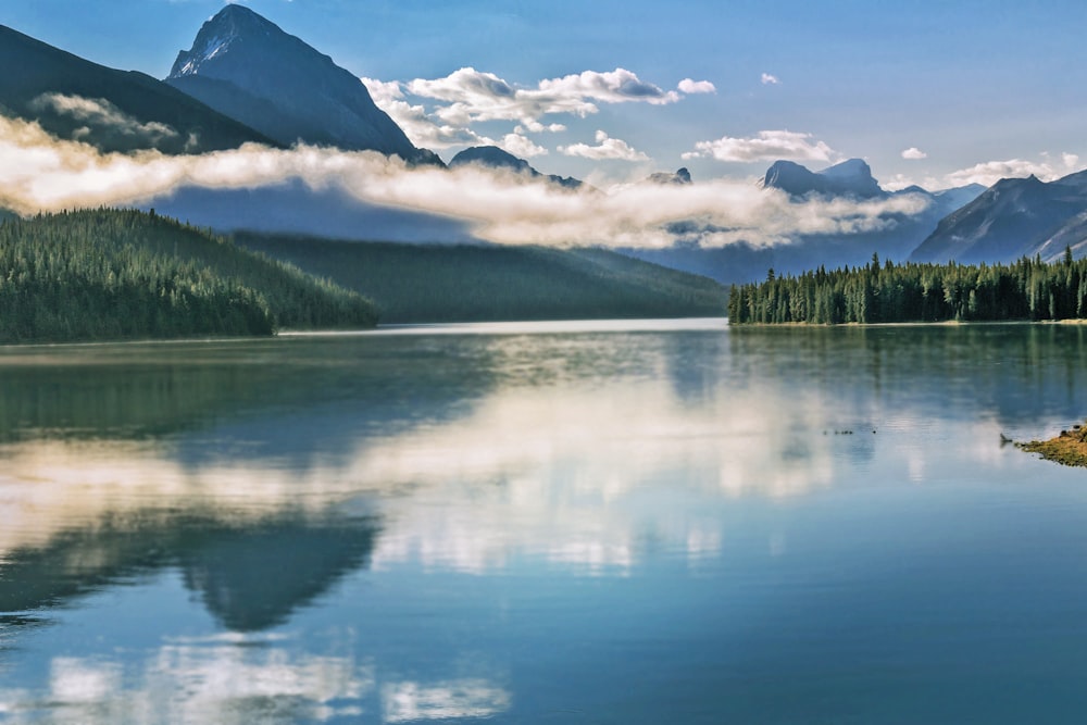 green trees near lake under blue sky during daytime