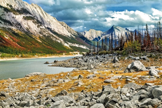 gray and brown rocky shore near green and brown mountains under white cloudy sky during daytime in Medicine Lake Canada