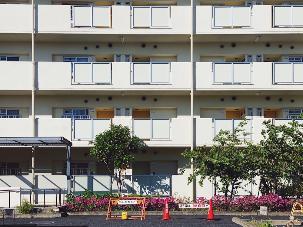 red flowers in front of white concrete building