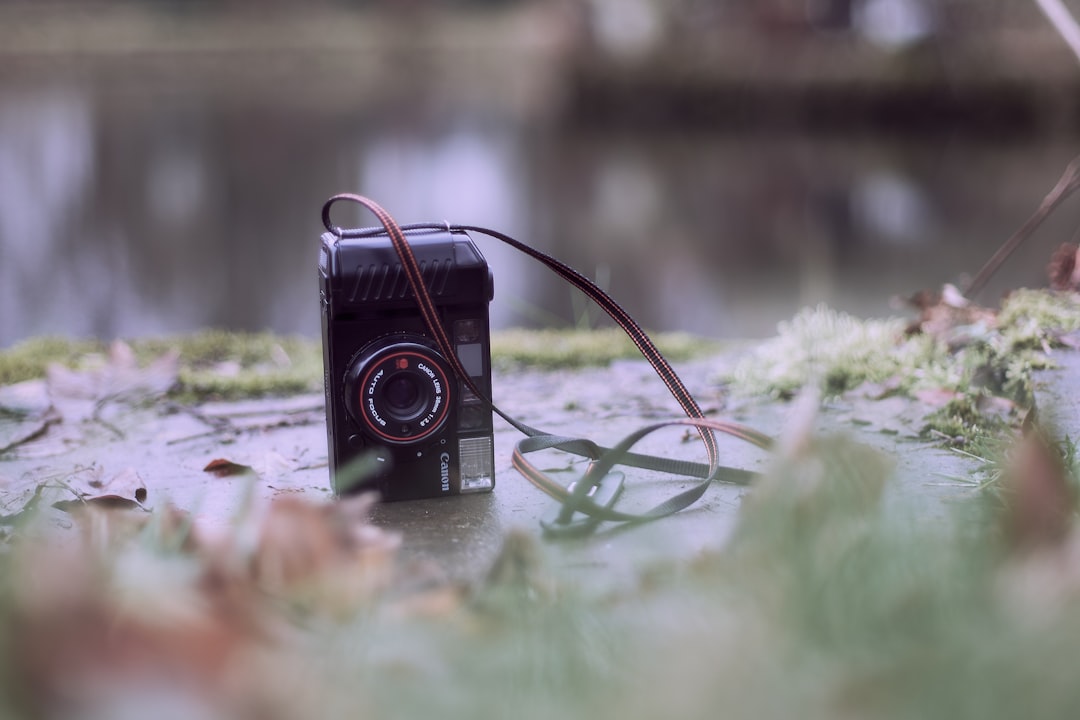 black and red camera on green grass