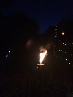 A night view of a Minecraft server hub lit by torches and lanterns.