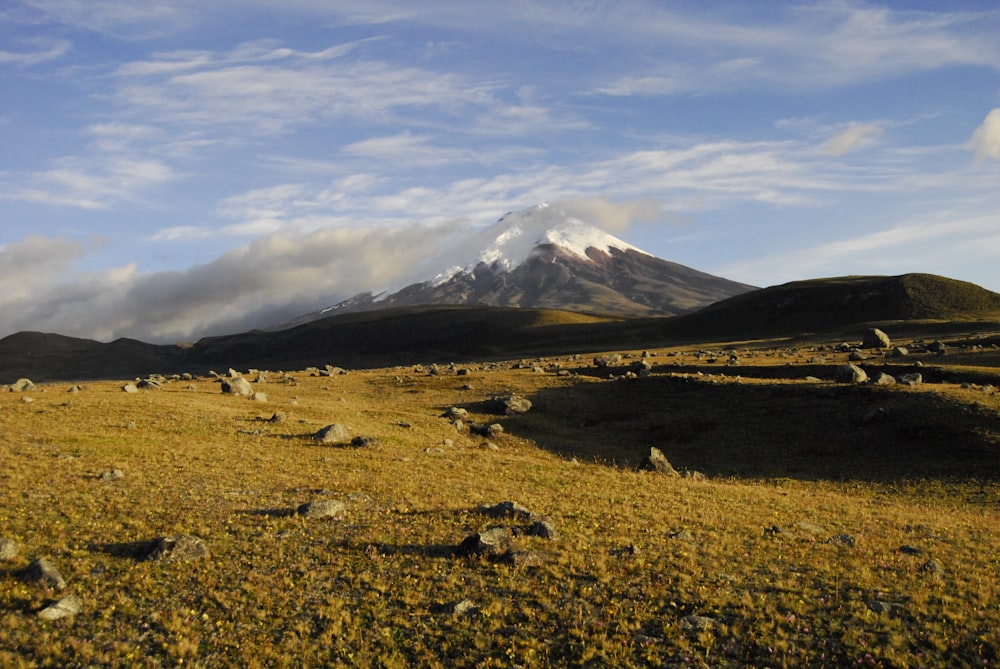 green grass field near snow covered mountain under white clouds and blue sky during daytime