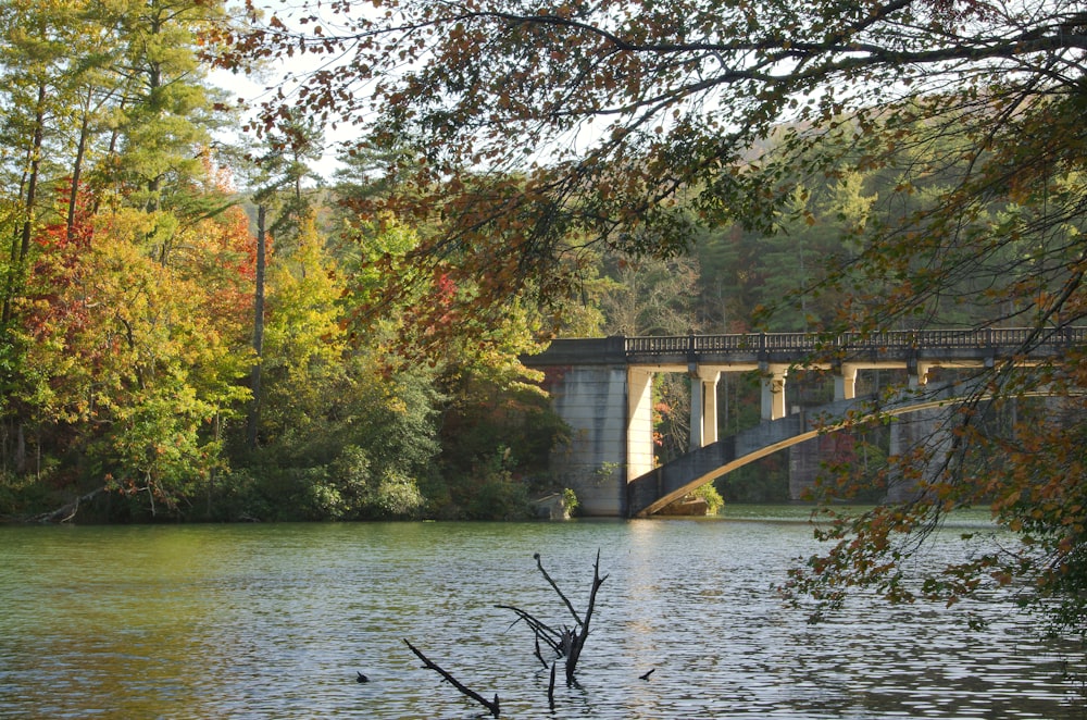 Puente de hormigón gris sobre el río