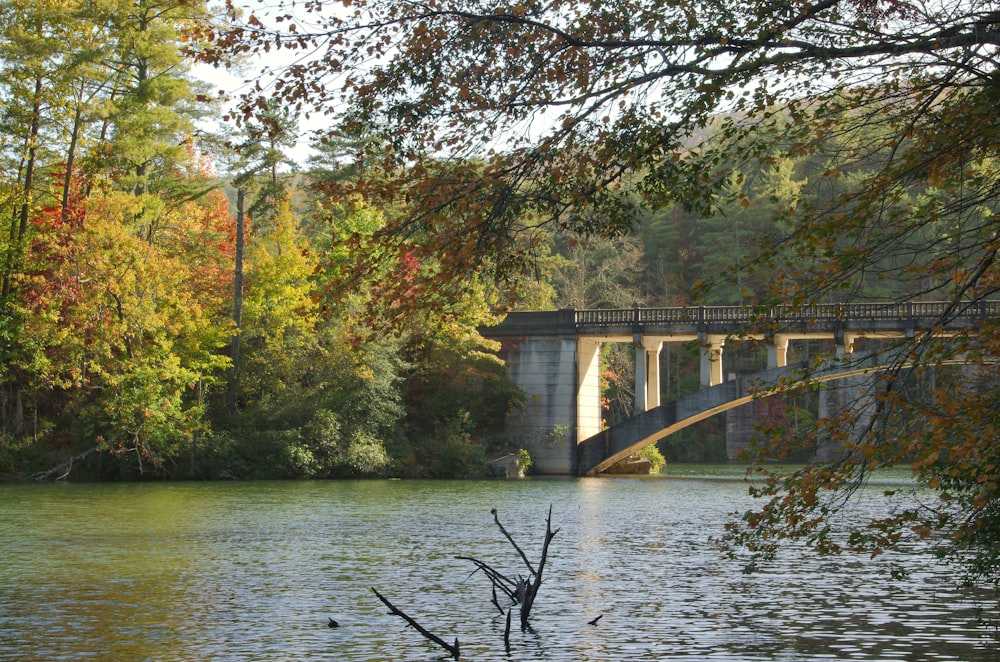 gray concrete bridge over river