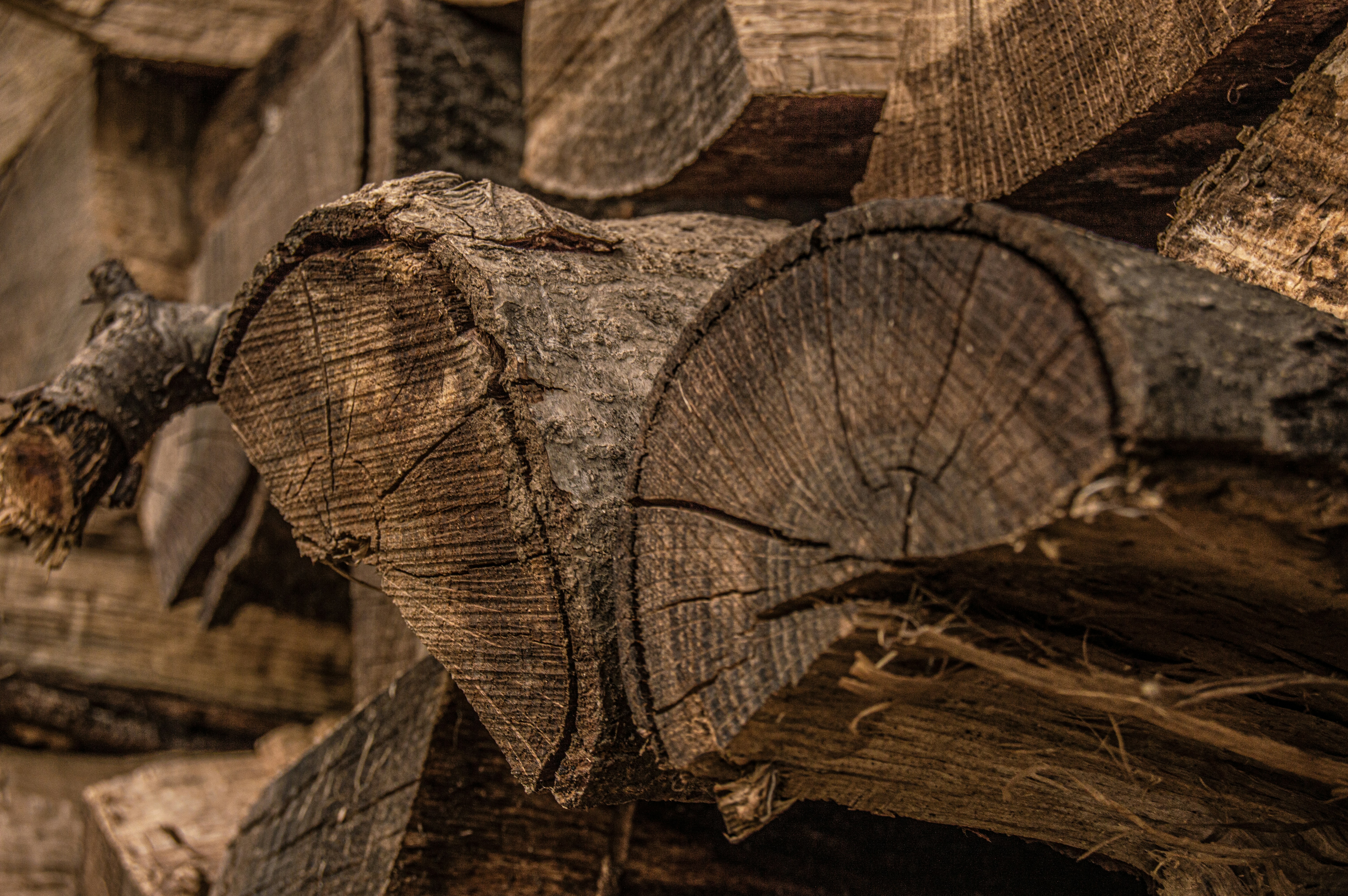 Photo by jessebalaydesigns