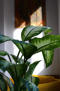 Close-up of a vibrant floral wallpaper pattern in a sunlit living room