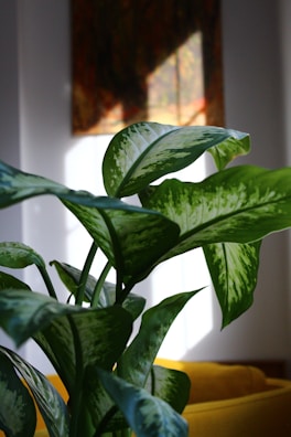 Close-up of a hand-painted accent wall with a leafy green pattern in a cozy reading nook.