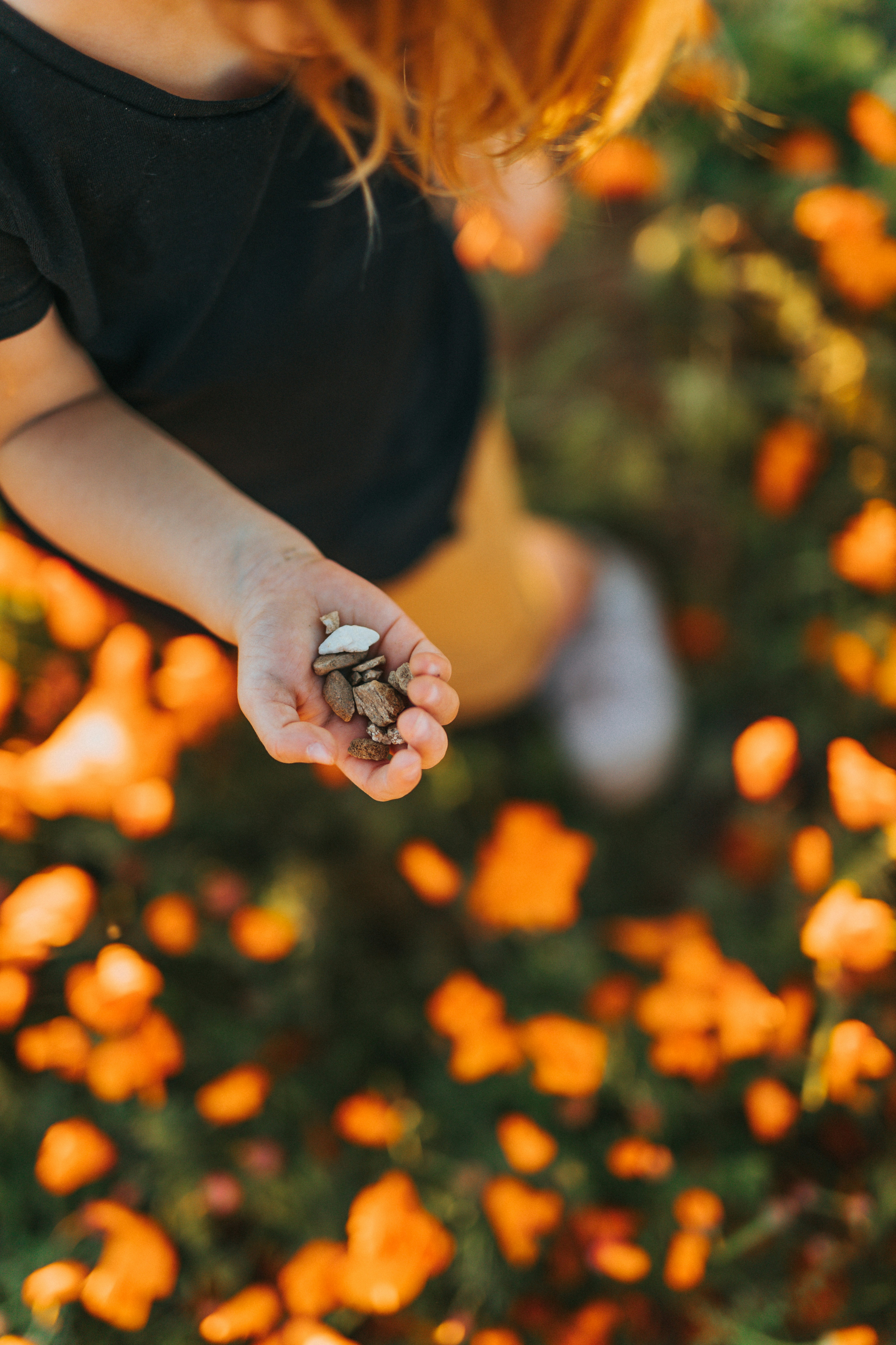 Photo by nate_dumlao