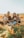 3 women and 2 men sitting on green grass field during daytime