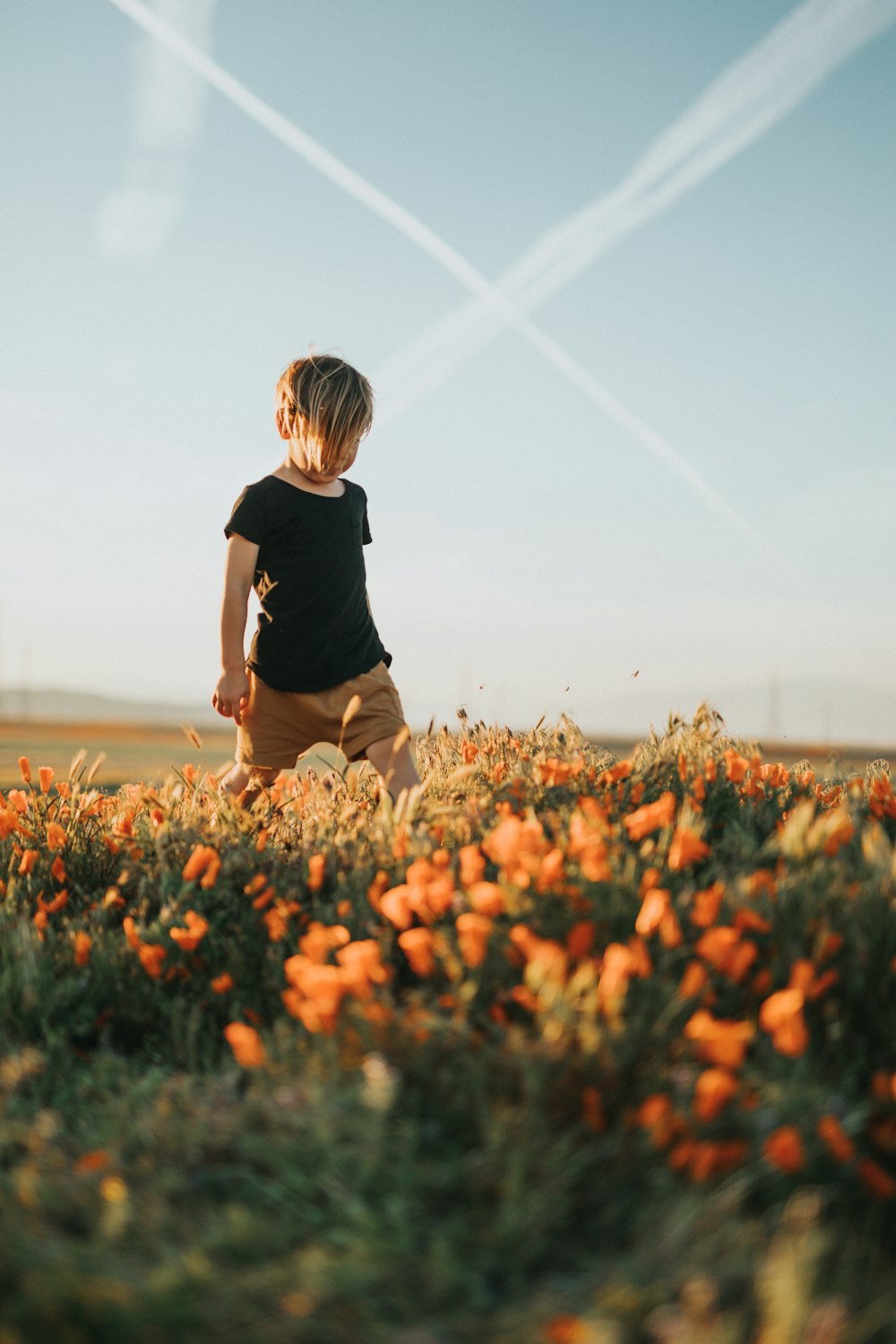 woman in black t-shirt and brown shorts sitting on brown flower field during daytime