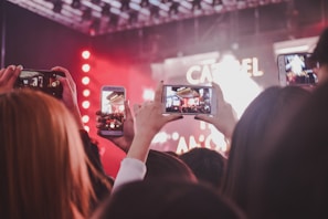 people watching concert during night time