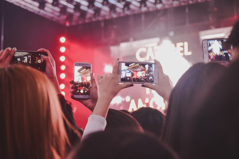 people watching concert during night time