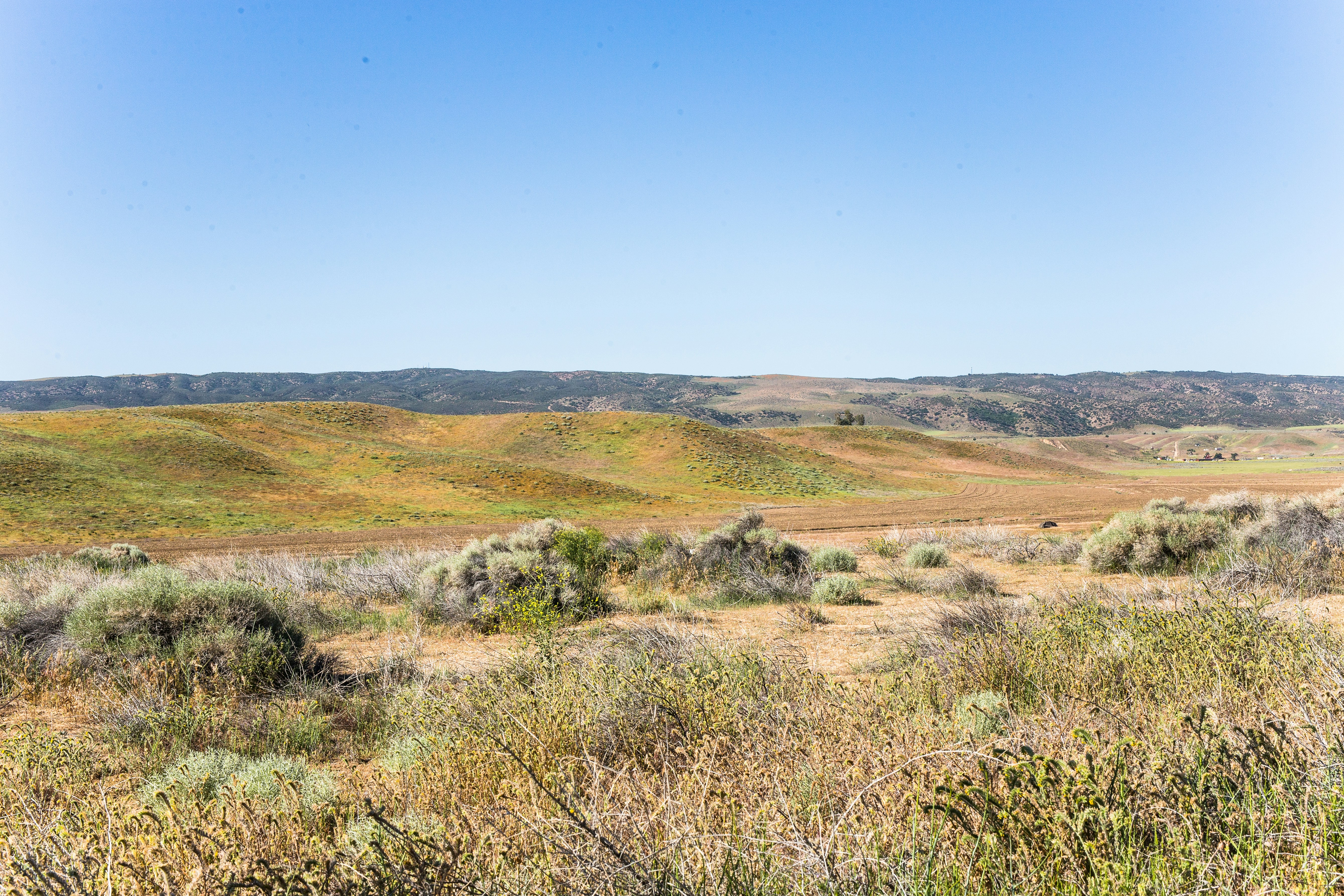 Photo by donovan_valdivia