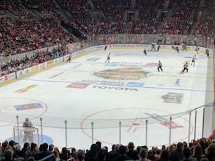 people watching ice hockey game