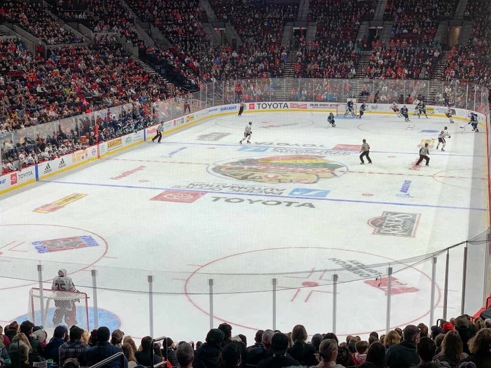 people watching ice hockey game