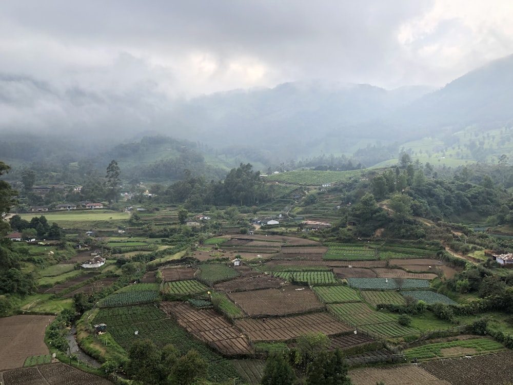 aerial view of green trees and mountains during daytime