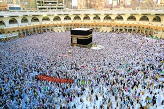 a large group of people standing around a kabab