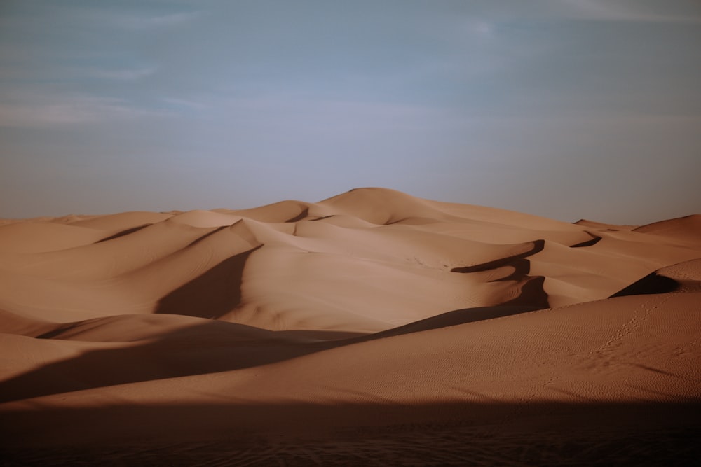昼間の白い曇り空の下の砂漠