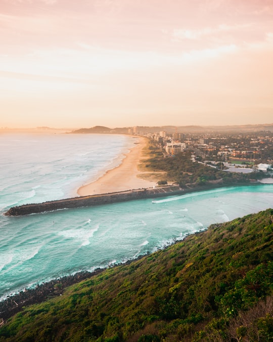 Burleigh Head National Park things to do in Kirra