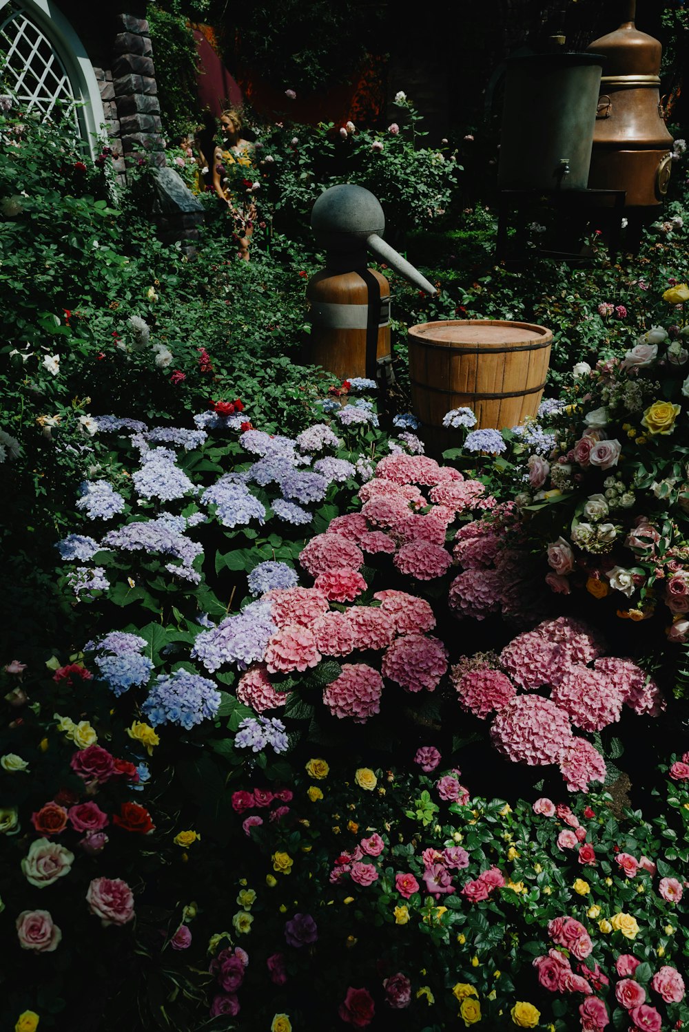 pink flowers with green leaves