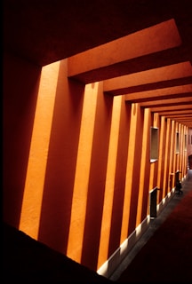 brown and white hallway with brown walls