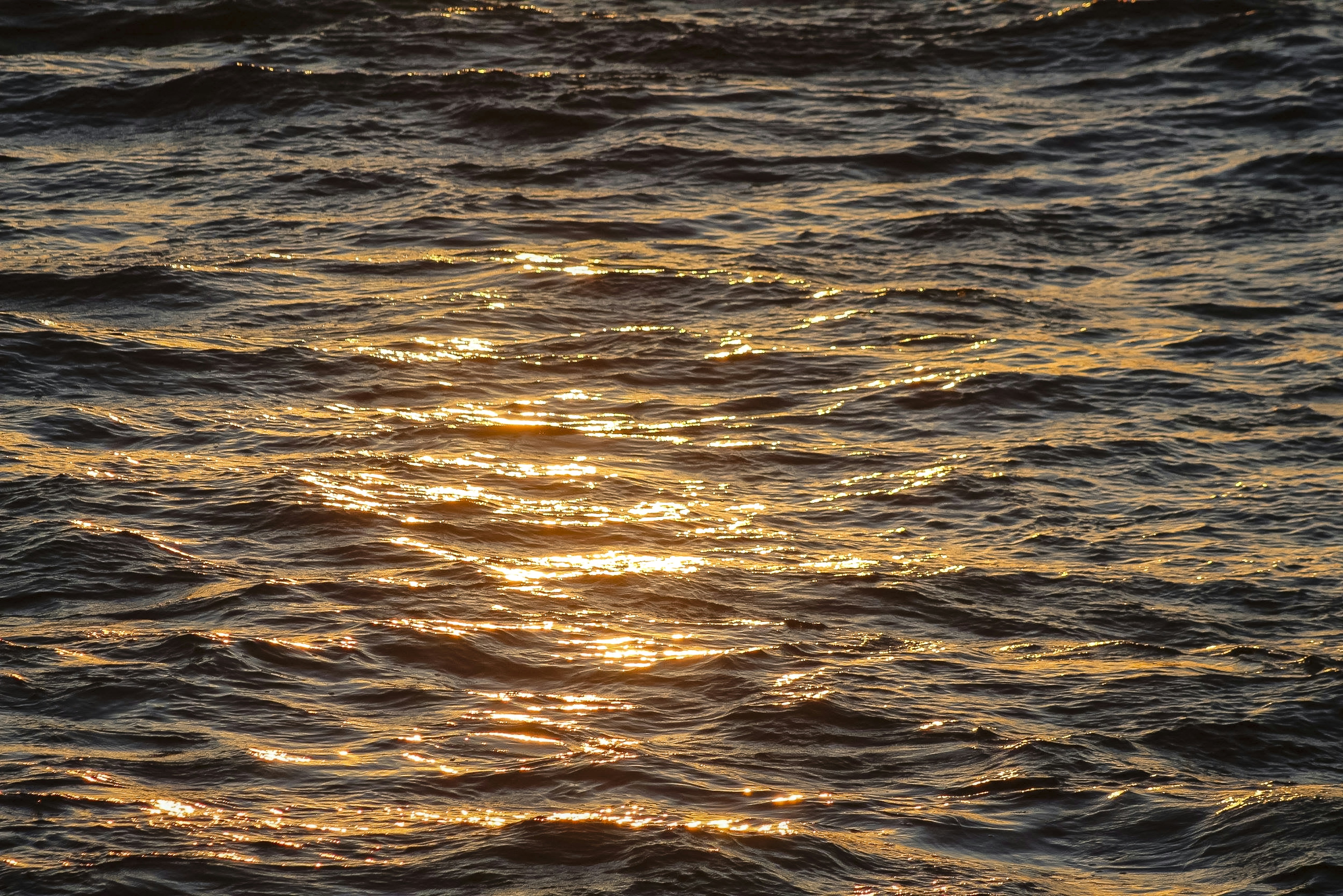 Photo by jphotomedia