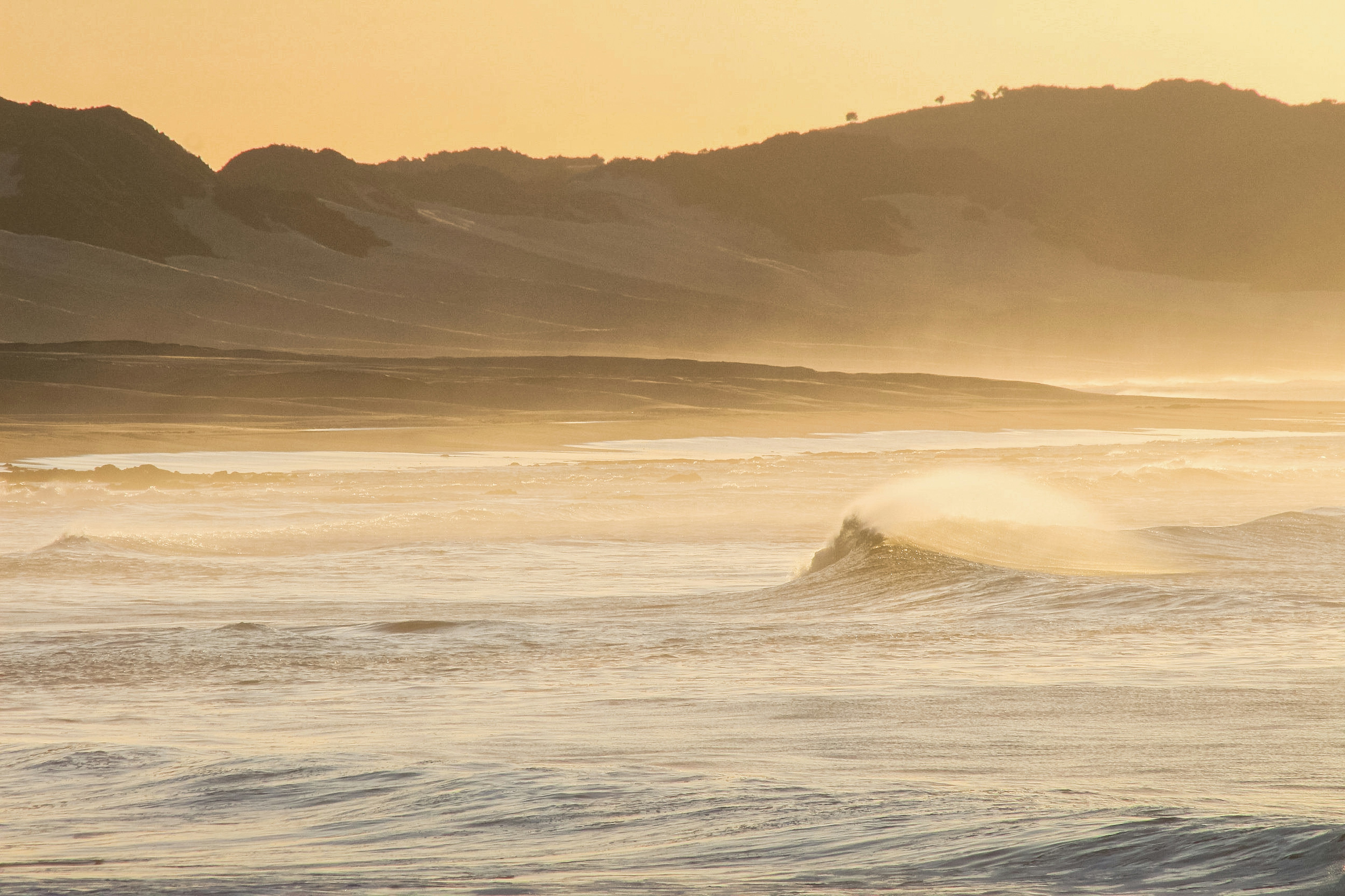 Photo by jphotomedia