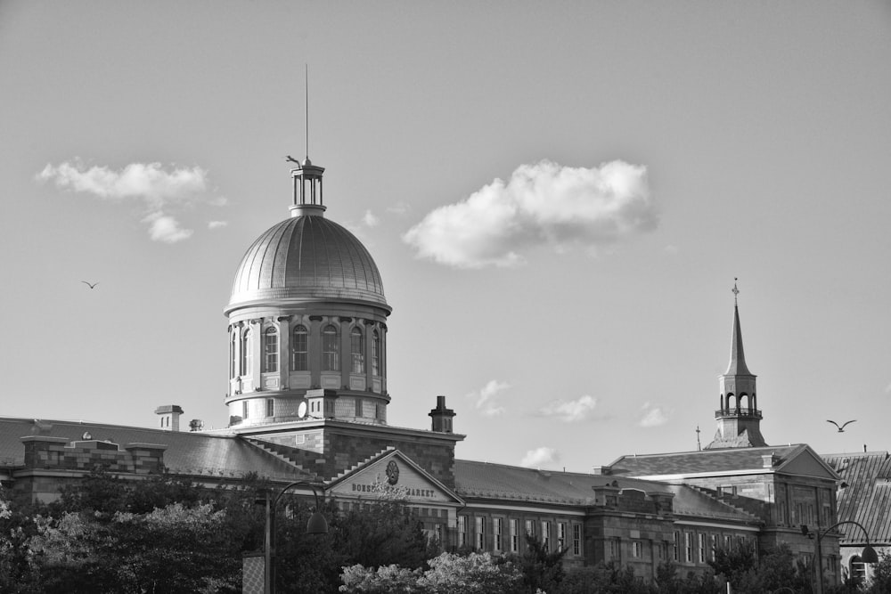 grayscale photo of dome building